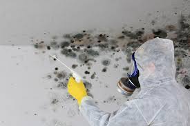 Mold Remediation for Rental Properties in Landisville, PA